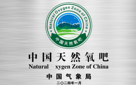 在氧吧的怀抱里蹦草原迪！布林泉之夜重塑Z世代文旅DNA