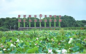 湖南同汇长龙生态欢乐园：  探索三产融合新路径，打造乡村振兴新标杆